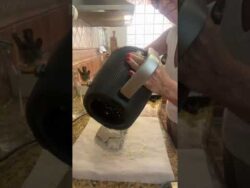 PAN DE TRIGO SARRACENO THERMOMIX