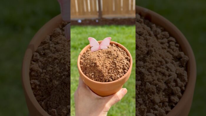 This Earth Day, we’re digging into dessert! #EarthDay #DirtCup