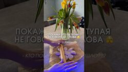 И нет это не скалка😁 Готовлю в аэрогриле Homaider арт.вб: WW336998 #быстрыерецепты #самса #перекус