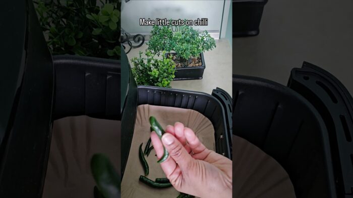 Air Fryer Green Chilli Recipe #shorts #viral #trending #greenchillifry #airfry #ytshorts #yt