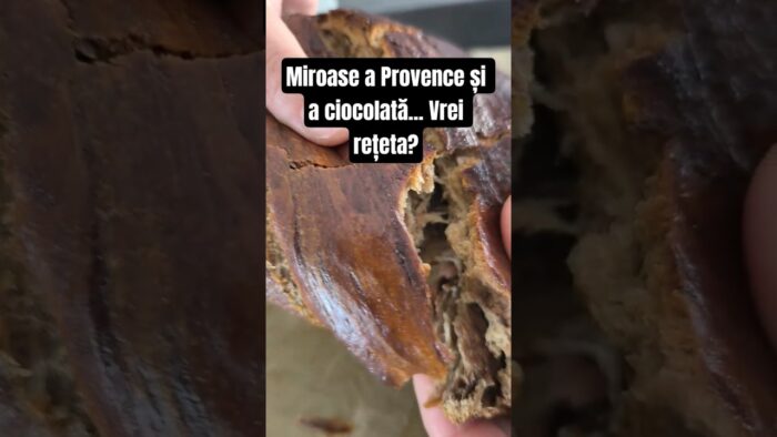 Brioche Marmorată la Thermomix 🍞 | Mai pufoasă de atât nu se poate!