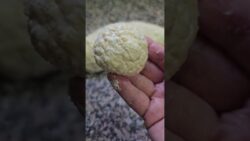 Chipa casero en freidora de aire 🧀✨Fácil, rápido y sin horno!!!!!!