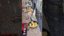 Daal Baati lovers के लिए खास 😋 Air Fryer Baati Recipe ❤️#foodie #shortsfeed #shorts