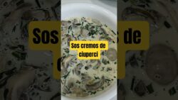 Sos de ciuperci cremos gata în câteva minute cu Thermomix