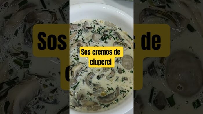 Sos de ciuperci cremos gata în câteva minute cu Thermomix