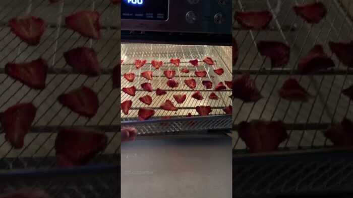 The Madea Flexify Airfryer #dehydrator #foodpreservation #sugarfree #airfryerrecipes #kitchentok