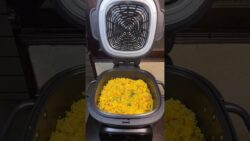 Veg Biriyani in Airfryer / Philips one-chef Airfryer 2026 #trending #viral #shorts #ytshorts #yt