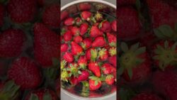 #çilekreçeli #çilek #erdbeer #erdbeeren #strawberry #unbezahltewerbung #thermomix #tm7 #küche