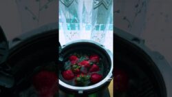 ١٤ مايو، ٢٠٢٦