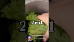 2 en 1! Lava y corta la lechuga en menos en menos de 5 segundos con Thermomix! Lo sabías?