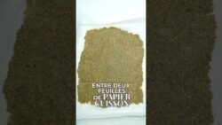 Crackers de graines au #thermomix