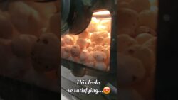 Crispy Roasted Makhana Without Oil | Air Fryer Recipe #airfryer #airfryerrecipes  #crispyfries