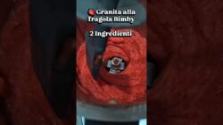 Granita fragola Siciliana 2 ingredienti con bimby