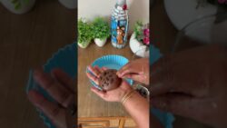 Healthy Wheat Flour & Jaggery Cookies 🍪 | Air Fryer Recipe