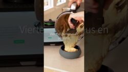 Hummus casero