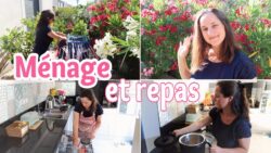 MENAGE, NOUVEL ASPIRATEUR BISSELL ET RECETTE DE MUJADDARA (coup de coeur !) AU TM7 | Little Béné