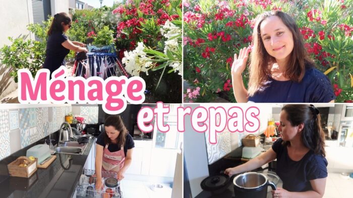 MENAGE, NOUVEL ASPIRATEUR BISSELL ET RECETTE DE MUJADDARA (coup de coeur !) AU TM7 | Little Béné