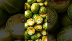 The Air Fryer Secret to Guilt-Free Indulgence: Keto Brussels Sprouts with Bacon #airfryer #recipe