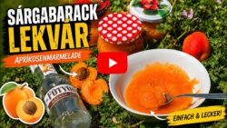 🍑 Ungarische Aprikosenmarmelade (Sárgabaracklekvár) aus dem Thermomix®