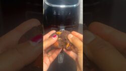 Air Fryer Chocolate Cupcakes | Ragi | Eggless
