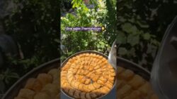 Bugünkü workshop’un yıldızı: Ev yapımı baklava.Hamuru da cevizi de Thermomix ile hazırladık.