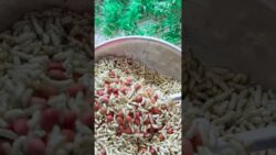 Crispy Pudina Murmura Namkeen in Air Fryer | Healthy Mint & Curry Leaves Puffed Rice Snack  ...
