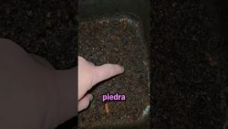 Este truco hace que limpiar la freidora de aire sea mucho más fácil!