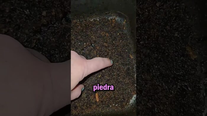 Este truco hace que limpiar la freidora de aire sea mucho más fácil!