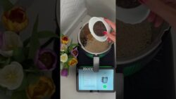 Homemade Seed Crackers #thermomix #thermomixtm7 #recipe #thermomixuk