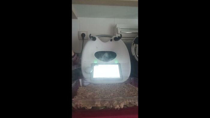 Lasaña de zucchini, fácil y rico con Thermomix