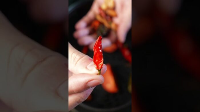 Molho de Pimenta Artesanal na Air Fryer – Molho mexicano de pimenta!