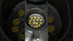 Smiley 😊 papad  #trending#shorts#short#cooking#pigeon#youtube#airfryer#smiley#recipe#reels#reel