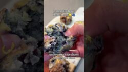 Air Fryer Lemon Blueberry Donut Holes 🍋🫐 #recipe #food #easyrecipe #healthydessert #cooking