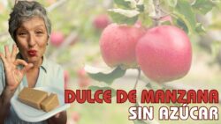 🍎DULCE DE MANZANA SIN AZÚCAR | Apto para diabéticos ✨ Saludable y fácil en Thermomix® 🍎✨