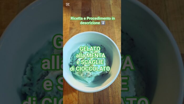 GELATO alla MENTA con SCAGLIE di CIOCCOLATA #gelatoartigianale #food #bimby