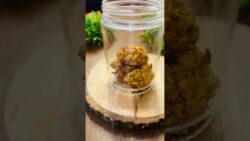 Healthy Oats Cookies in Air Fryer | No Maida, No Refined Sugar #shorts #recipe #easyrecipe #food