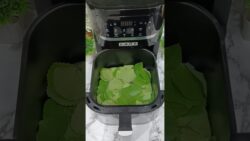 How to Make Dried Oregano in Air Fryer | Preserve Fresh Oregano at Home