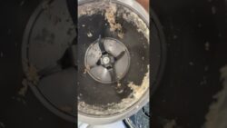 Removing Dough with the Turbo Mode in a TM6 | NZ Thermomix® Consultant