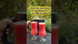 Summer Hack for Staying Hydrated | #thermomix #tm7 #hydratedskin