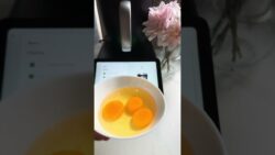 crème dessert aux deux saveurs Thermomix #kitchen #danslabulledecali #bonnecuisine