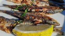 Es el pescado azul del verano pero poca gente en España le saca partido: 5 recetas con sardinas  ...