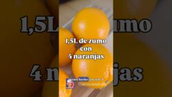 1,5L de zumo… con 4 naranjas! Fácil, económico y lleno de fibra y vitamina C para toda la familia!
