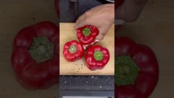 Try this recipe before your regret ft ~ Stuffed Bell peppers 🫑 #airfryerrecipe #stuffedbellpeppers