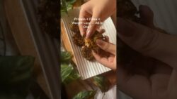 Weight Loss Kebabs That Actually Fill You Up — 250 Calories